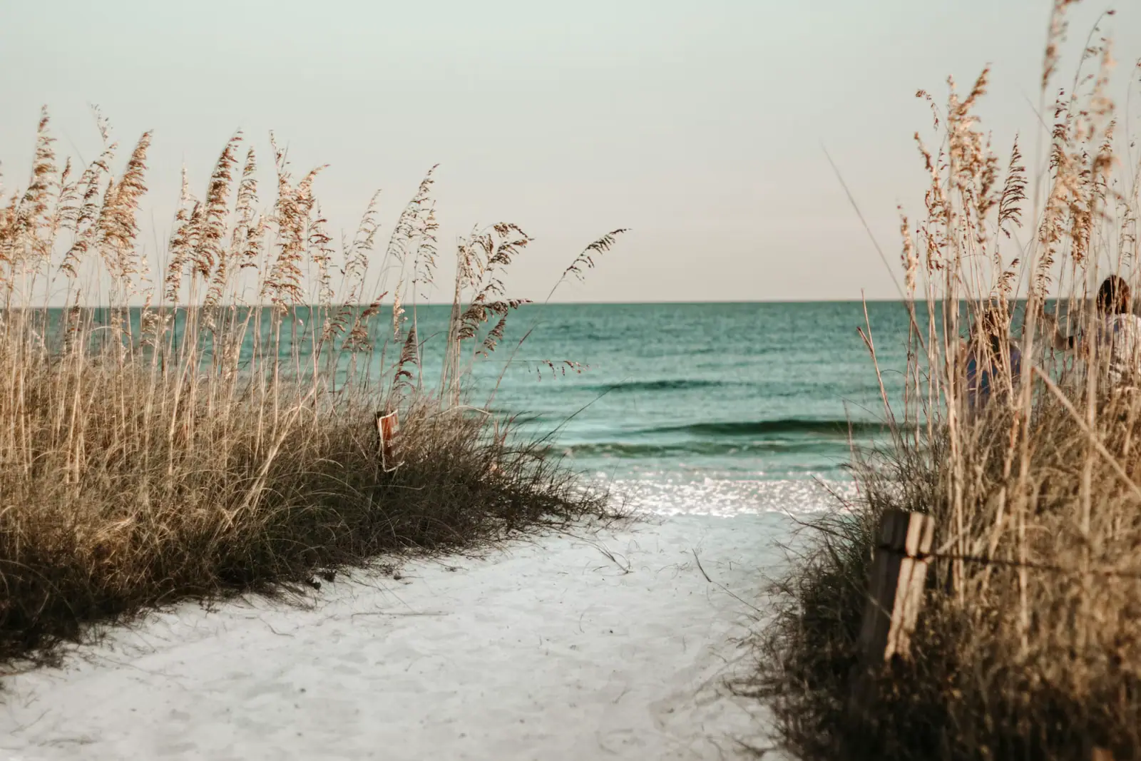 A sand path cut through tall sea oats leading down to the Gulf, photographed in Destin, Florida