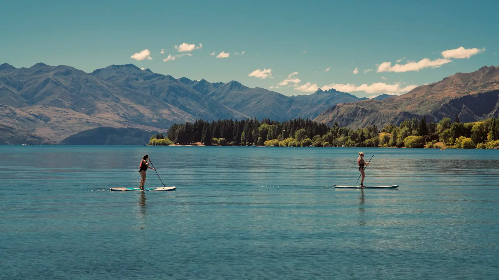 Two people standing on paddleboards crossing calm open water