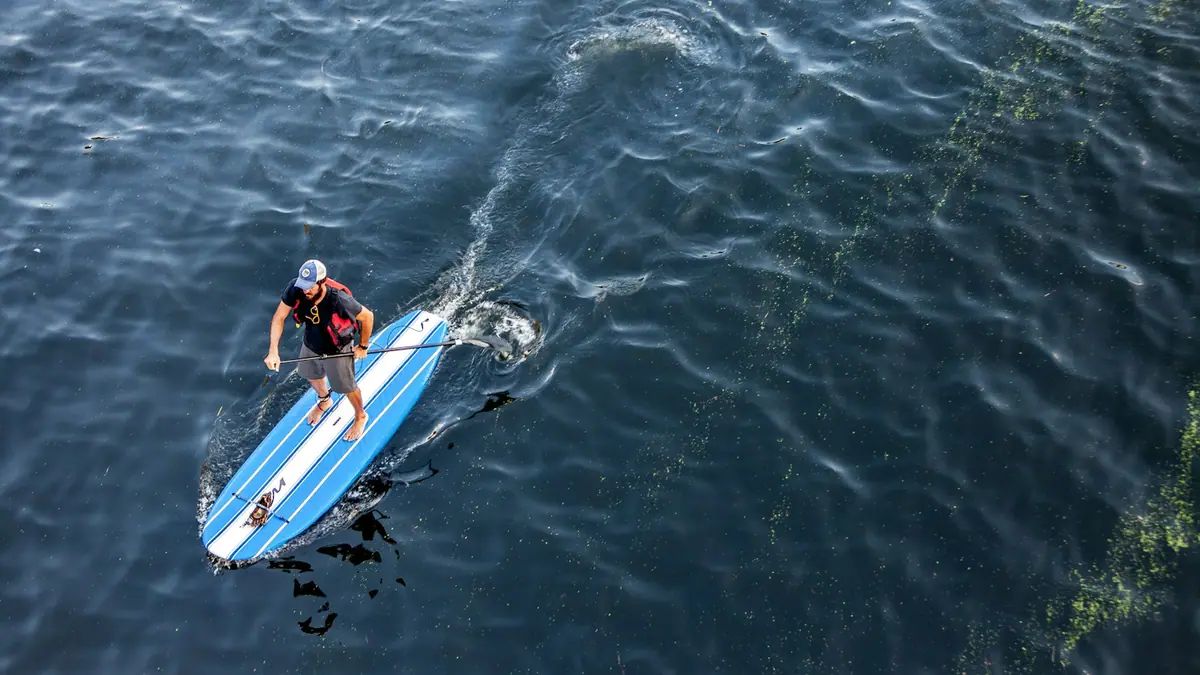 A paddler in a blue and white kayak on calm open water